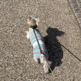 走るって楽しい^ ^の画像