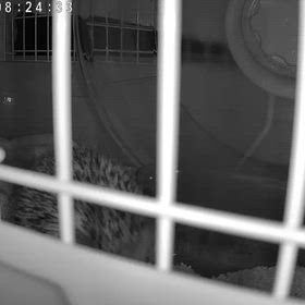 10月くるよの画像