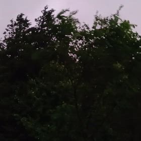 台風が最接近です(*﹏*;)の画像