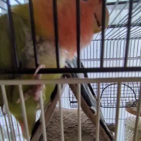 活気がないの画像