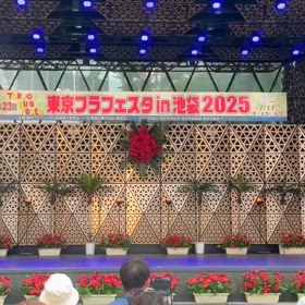 Pua ʻIliahiの画像