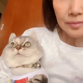 LoveLoveにゃにゃにゃ!♡ ´‐ﾗﾌﾞ♡(◍ ´꒳` 人 ´꒳` ◍)♡ﾗﾌﾞの画像