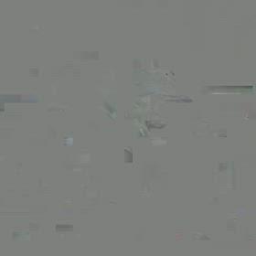 ビッグサイズ プラチナビキールラプラディ輸入します！の画像