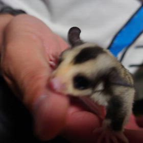 ご予約頂きました！の画像