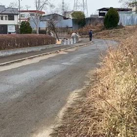 駅伝コース前半（公園前）③の画像