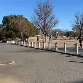 駅伝に向けて（1500ｍ）⑥の画像