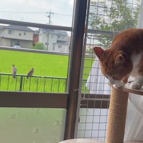 元気だわぁの画像