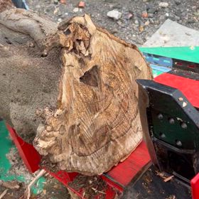 薪割り作業　　2024/11/5の画像