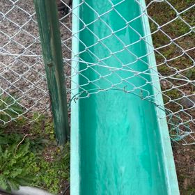 ☆新ベラ放流２回目☆の画像