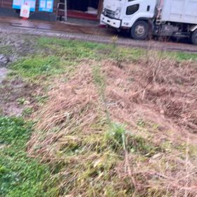 モーニングの画像