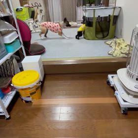 他の家族〜の画像