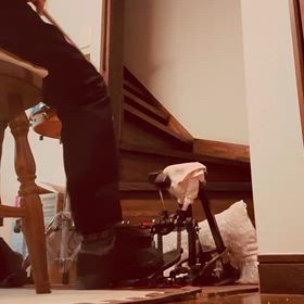 家でブルーブラッドの画像