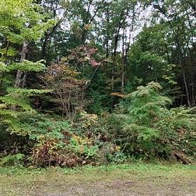 山の中の温かいペンションの画像