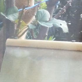 今日から12月の画像