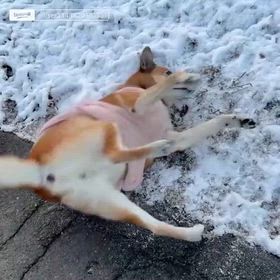 石岡八郷ベースの画像