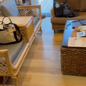 ウブドの森グラティスの画像