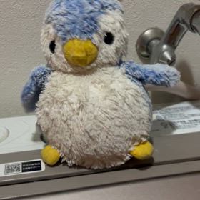 寒いわけじゃないかんなの画像