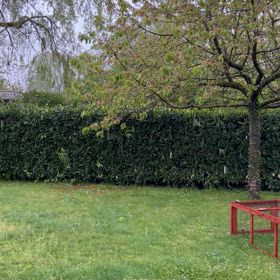 春休み中。の画像