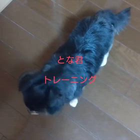 2024/09/19の画像