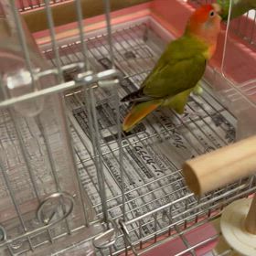 夏休みもあと少し‼️の画像