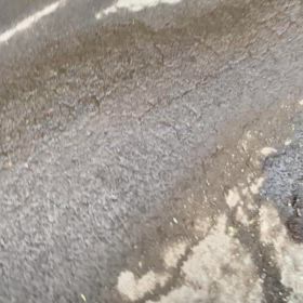 淡路島渓流魚(天然あまご)が釣りたくて調査の画像