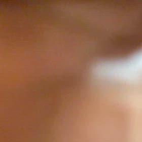 猫コチョコチョの画像