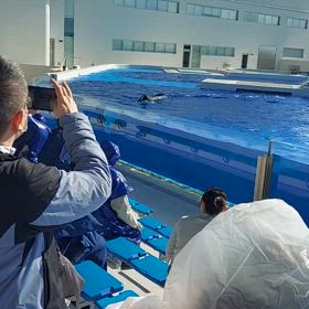 見てくださいの画像