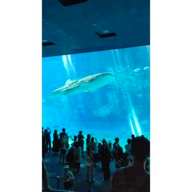 過去旅 沖縄 ⑤の画像