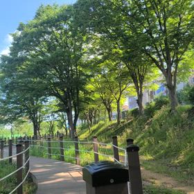 心理治療手探り中です　の画像