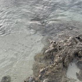 きもちよき〜　の画像