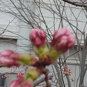 4/6の画像