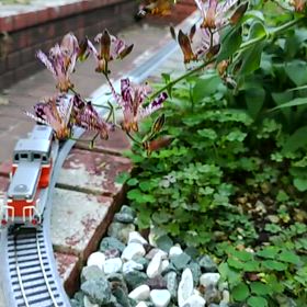 本日　大安吉日　㊗️開通の画像