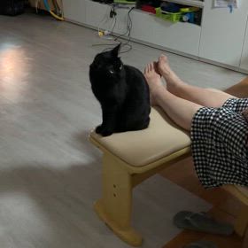 2024.05.01：「おりこうさんは、お留守番ね〜」たしかに・・・の画像