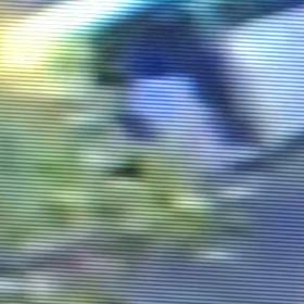 また、ポイ捨てしてる！Σ('◉⌓◉’)の画像