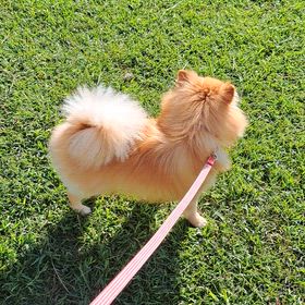 ゆめちゃんの課題の画像