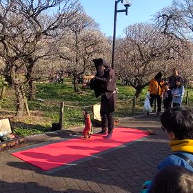 なんか痛いわねの画像