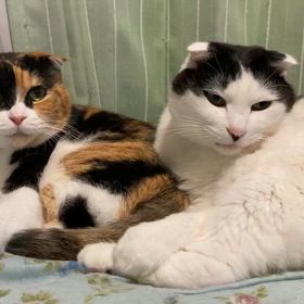 期待しないことで、気が楽になる。の画像