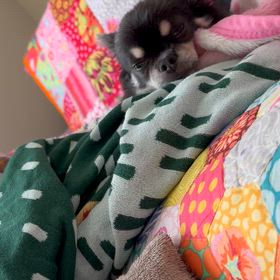 おはヨガの画像