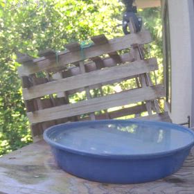 すぎぴたんの事件簿シーズン3　606話（家族でご来店！　ありがとうございます。）の画像