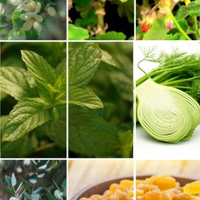 アロマオイルで頭皮の健康を守りますの画像