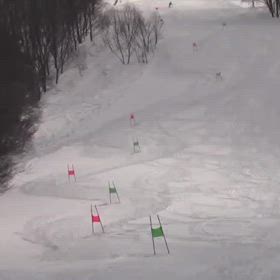 3月20日マスターズ練習会の画像