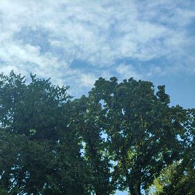 清々しい朝〜落ち葉の季節がやってくる〜の画像