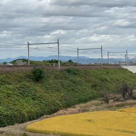 ロイヤルエクスプレス、ハンドル訓練、揖斐川の画像
