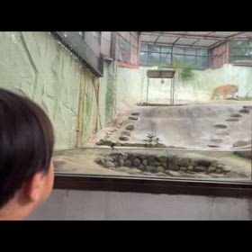 【2歳0ヶ月10日/741日】At the zooの画像