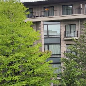 17時の音色の画像