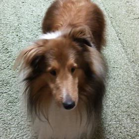 福は〜！！の画像