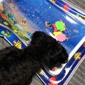 いつか三原さんの曲をの画像