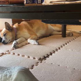 石岡八郷ベースの画像