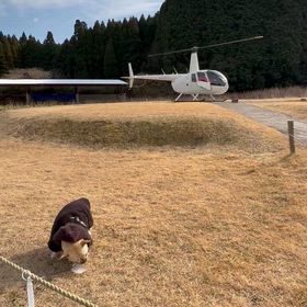 カドリードミニオン出発のヘリが…の画像