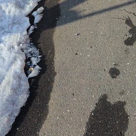 18分ウォーキングにの画像